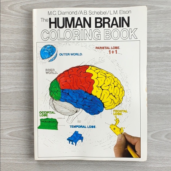 The Human Brain Coloring Book